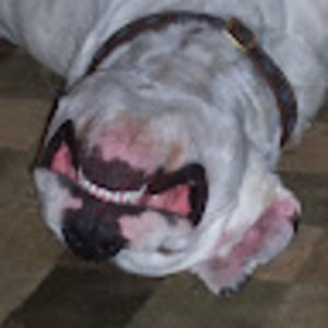 Meet your Posher, Christine